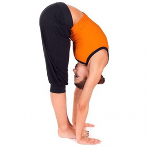 Tư thế forward bend Hinh anh: Tu the forward bend