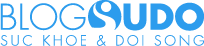 Logo Blogsudo