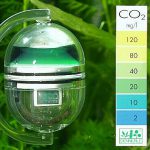 CO2 cho hồ thủy sinh và chất lượng nước