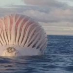 Kỳ lạ quả bóng khổng lồ trôi trên biển